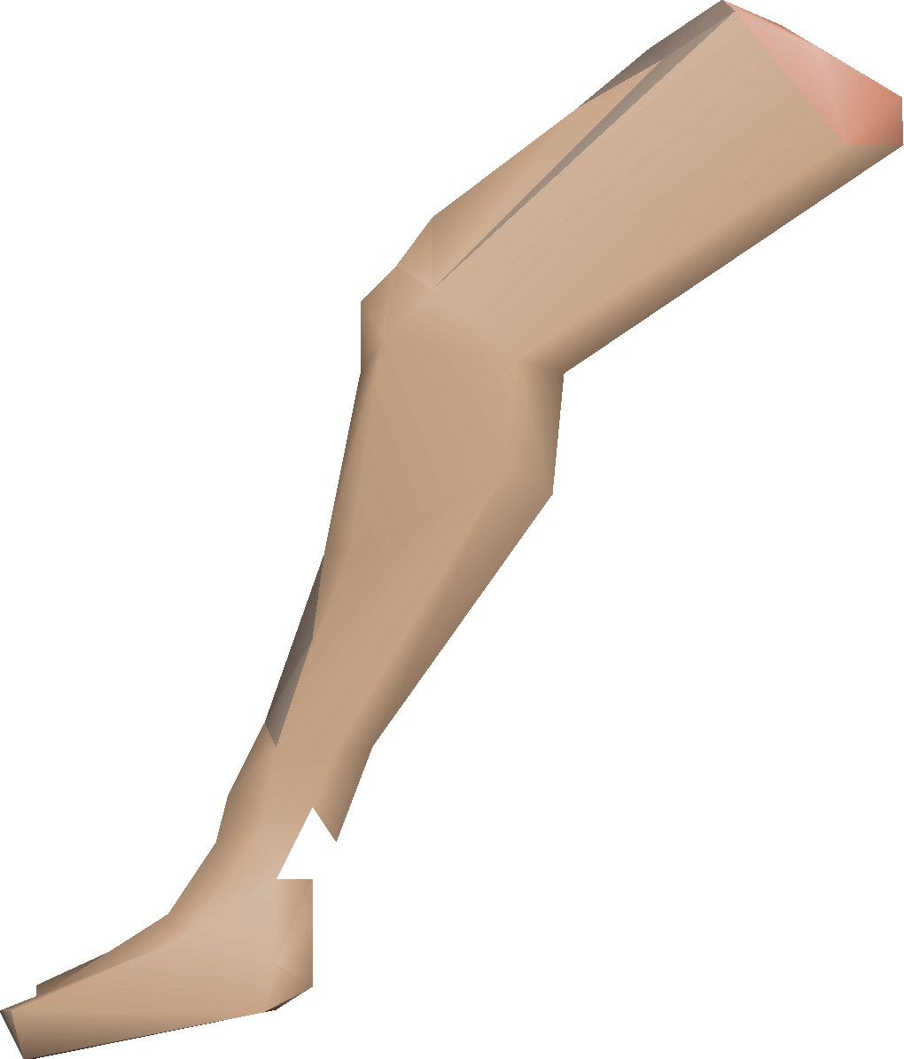 Severed leg (The General's Shadow)