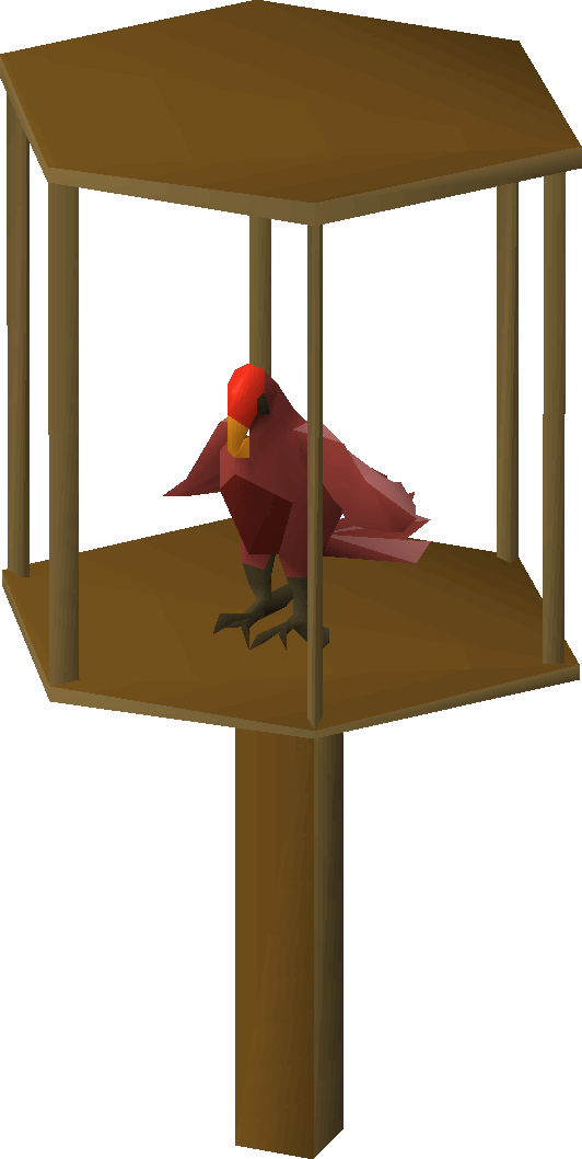 Parrot