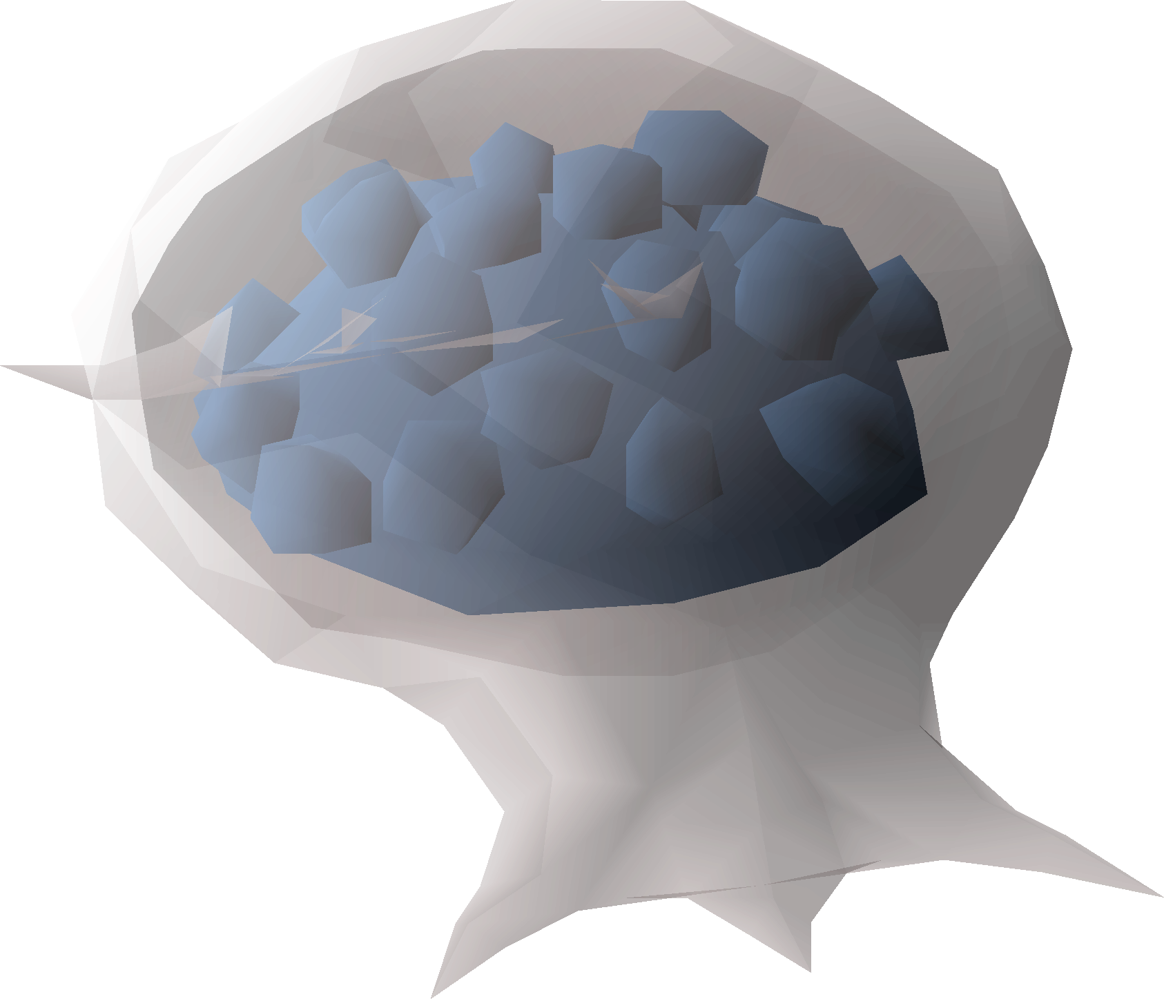 Blue egg sac