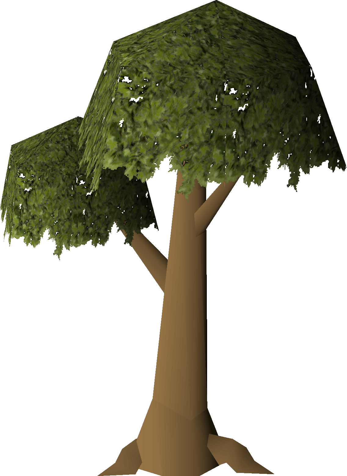 Tree (Pest Control)