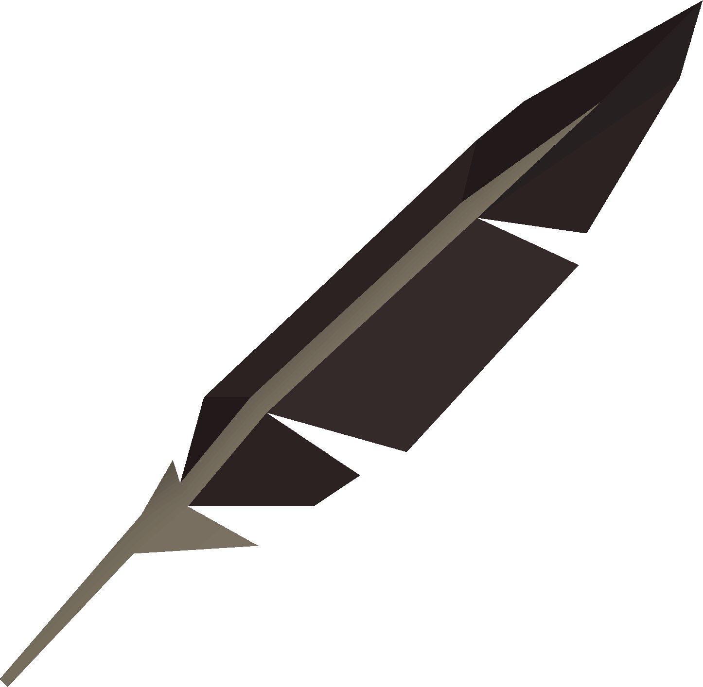 Frigatebird feather