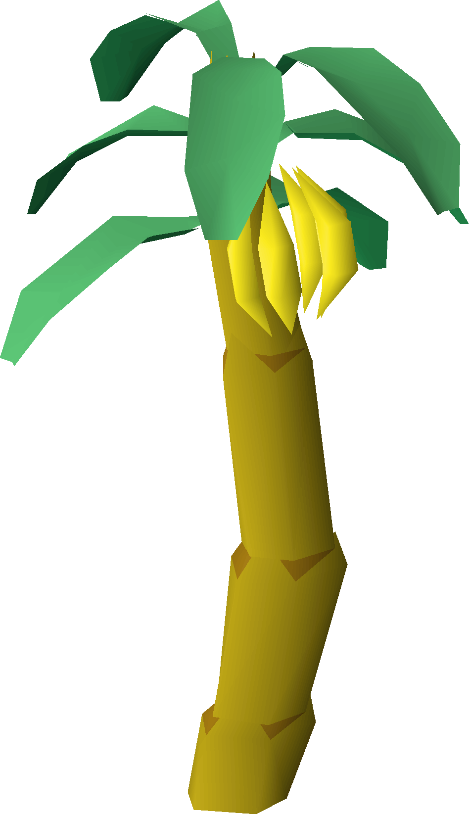 Banana tree