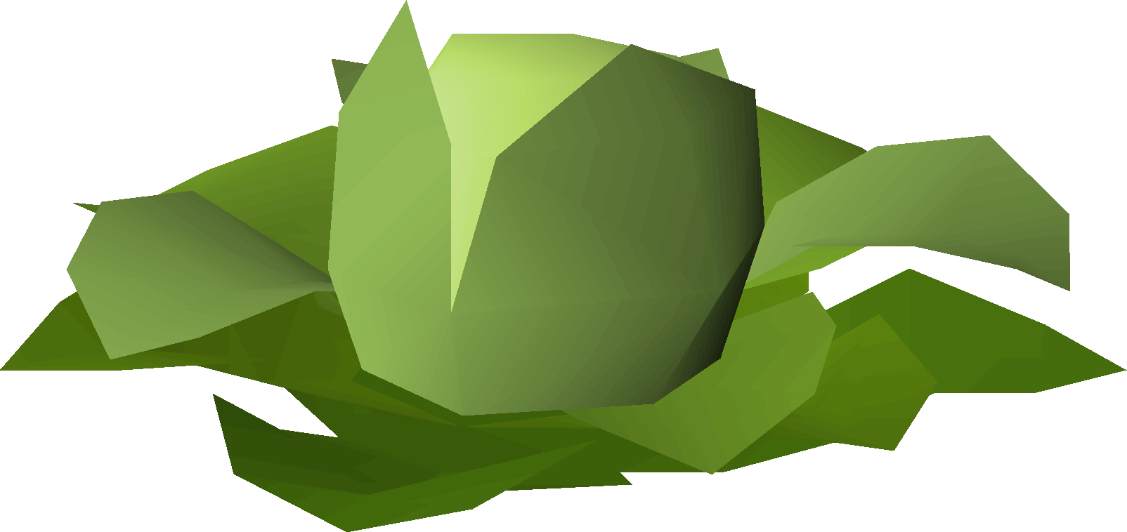 Cabbage (scenery)