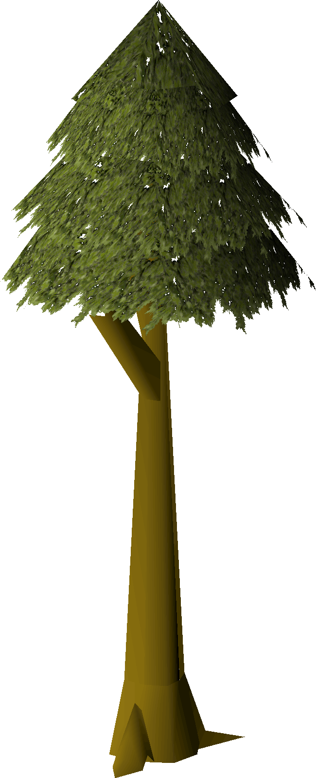 Long branched tree