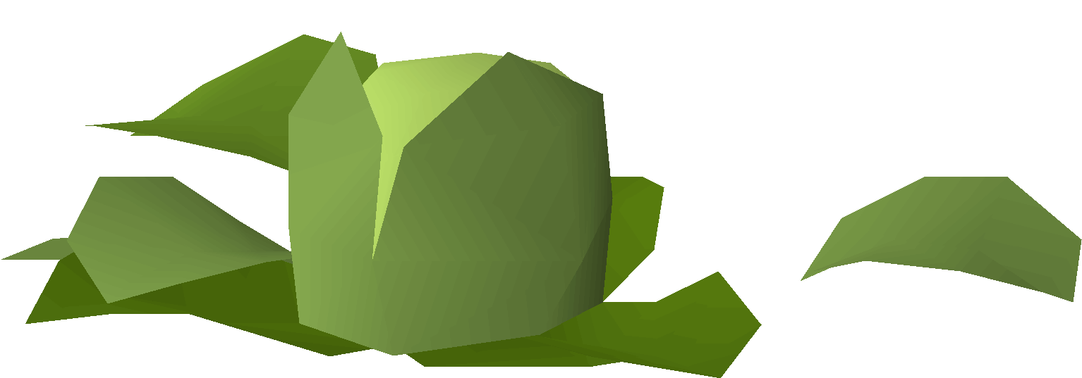 Stolen cabbage