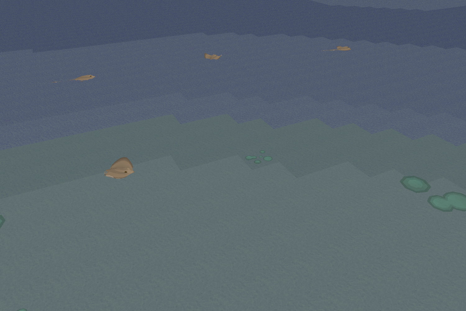 Sea of Souls