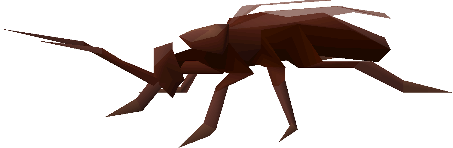 Cockroach