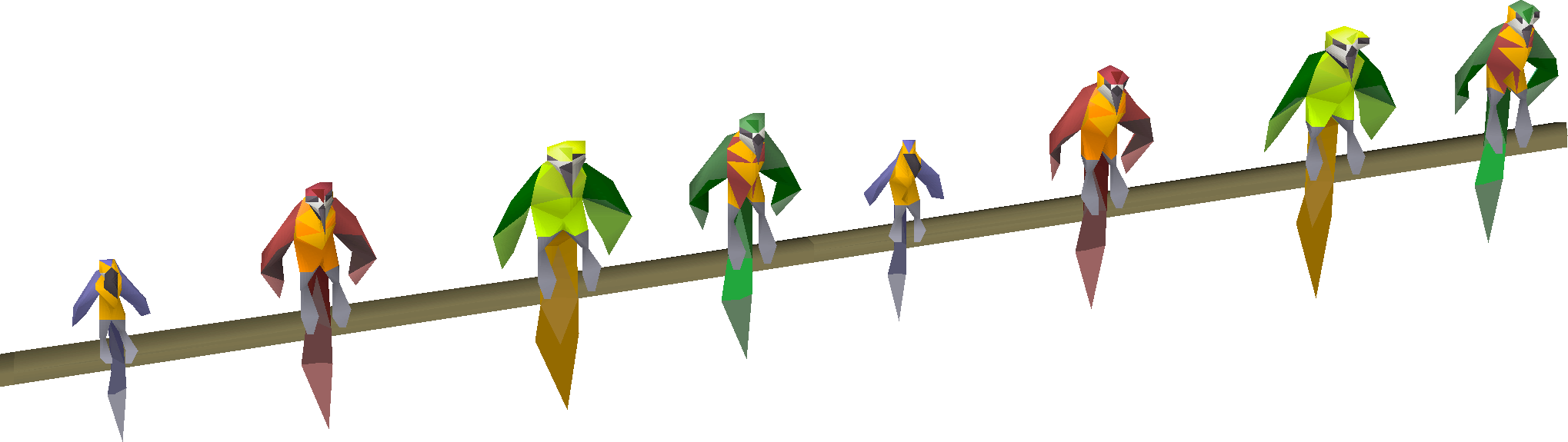 Parrots
