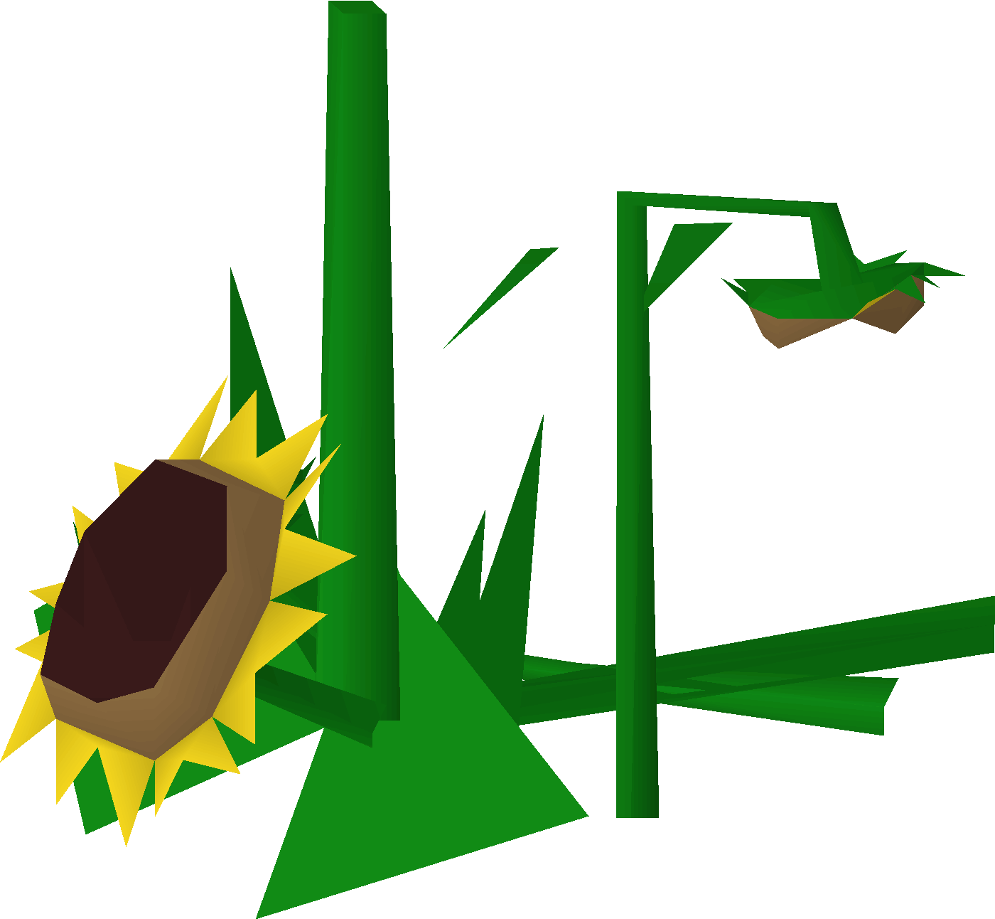Broken Sunflowers