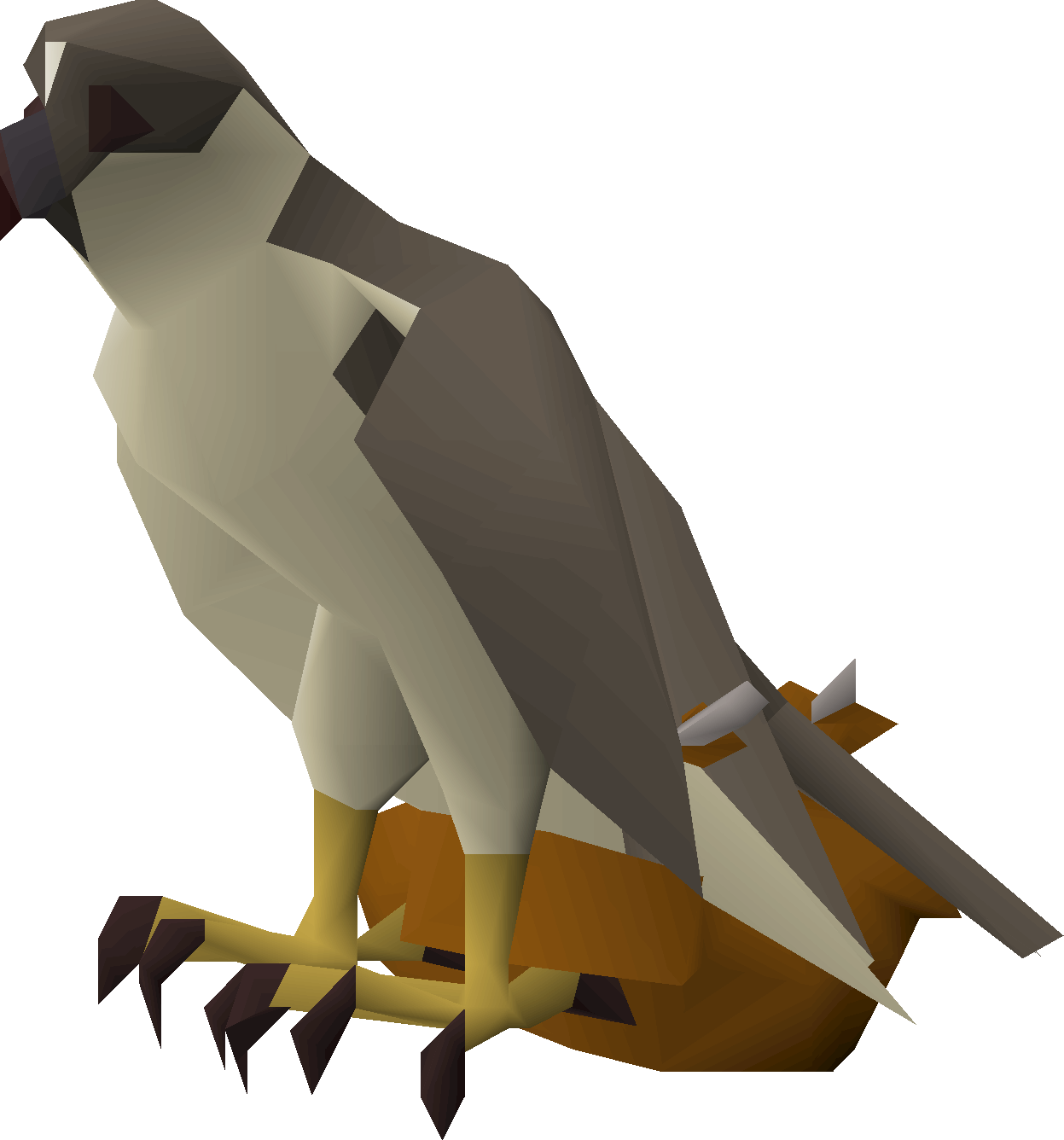 Gyr Falcon