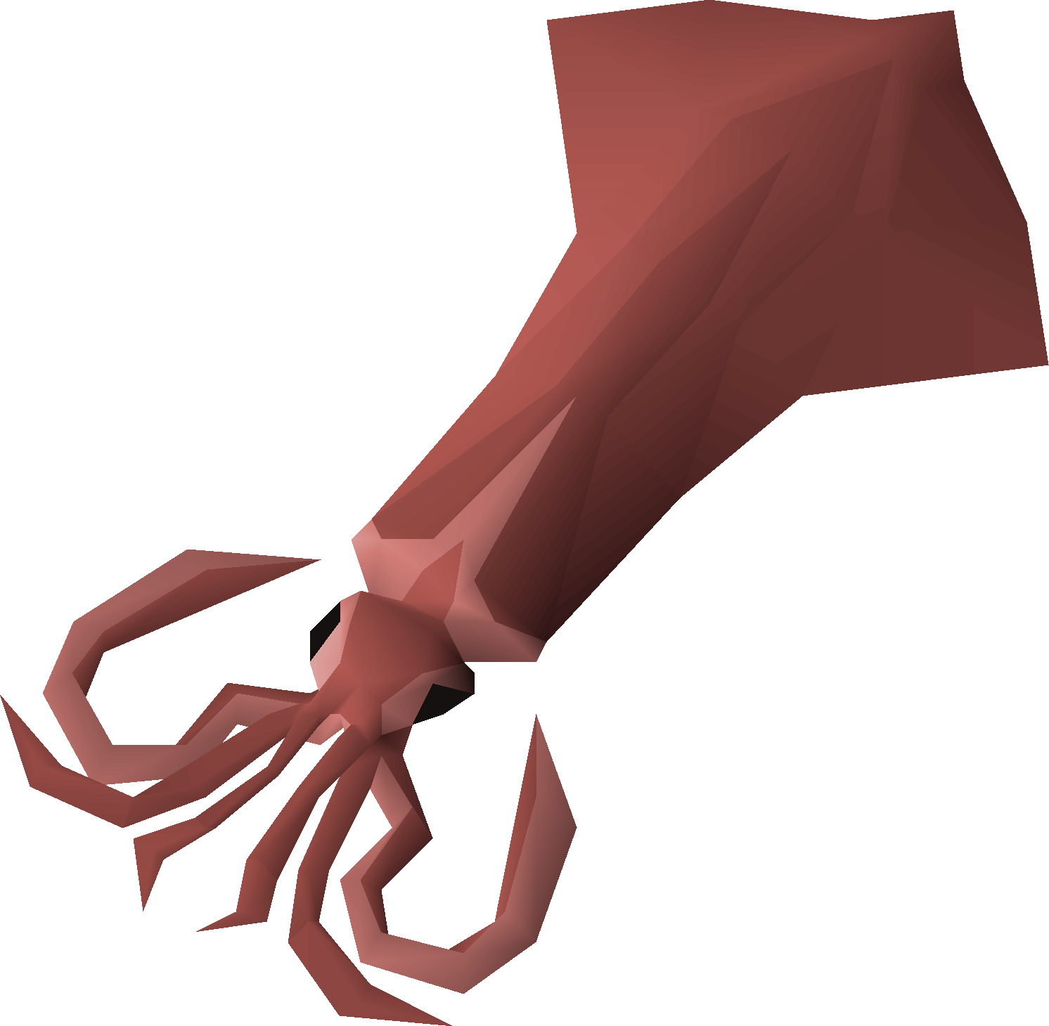 Jumbo squid