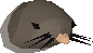 Chathead image of Baby mole