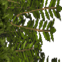 Graphically updated on 18 April 2005.