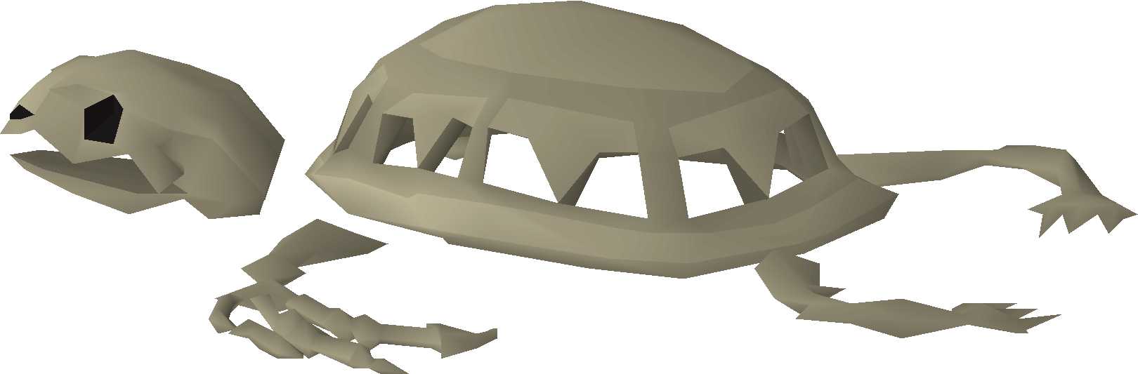 Skeleton (tortugan)