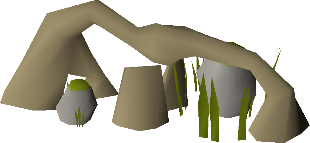 Dense forest