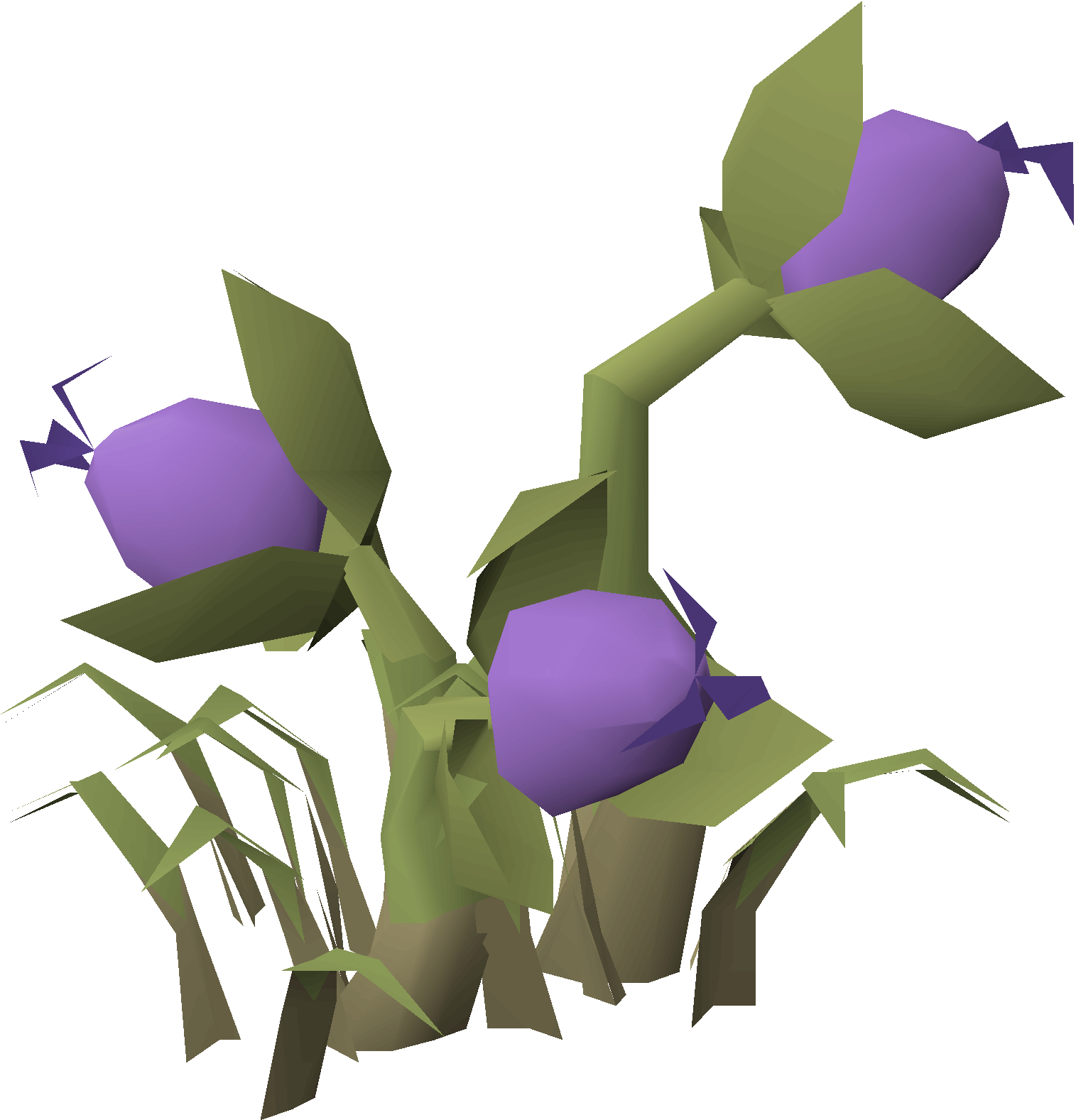 Strange bush (historical)