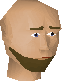 Chathead image of Zealot