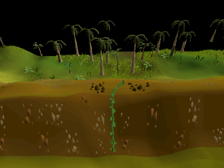 Vine (Kharazi Jungle)