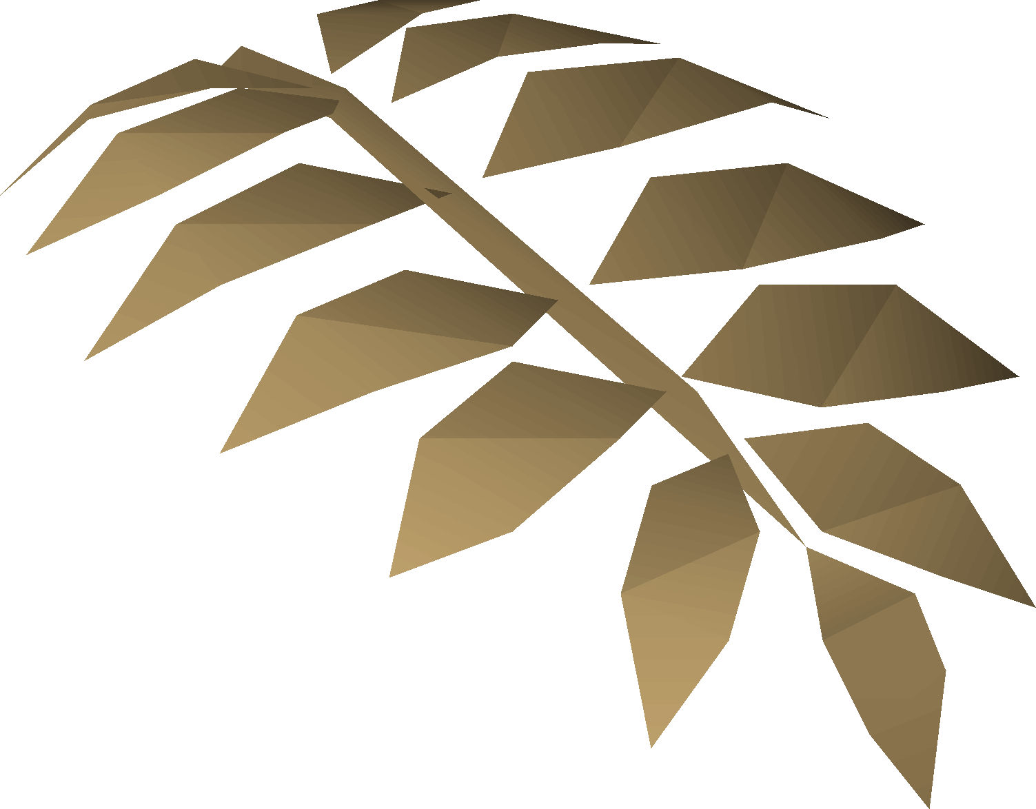 Fossilised leaf