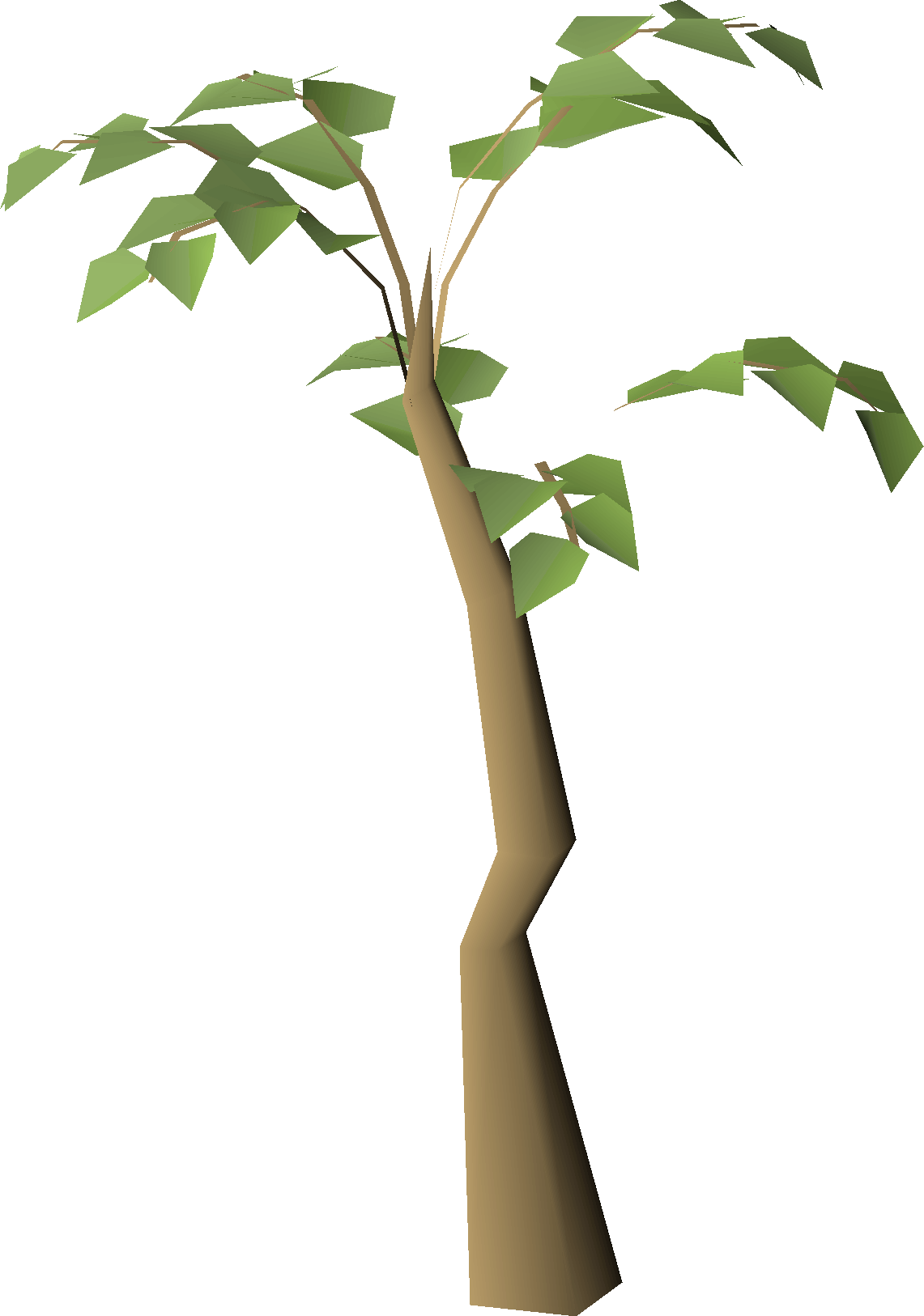 Tree (tropical, unused)