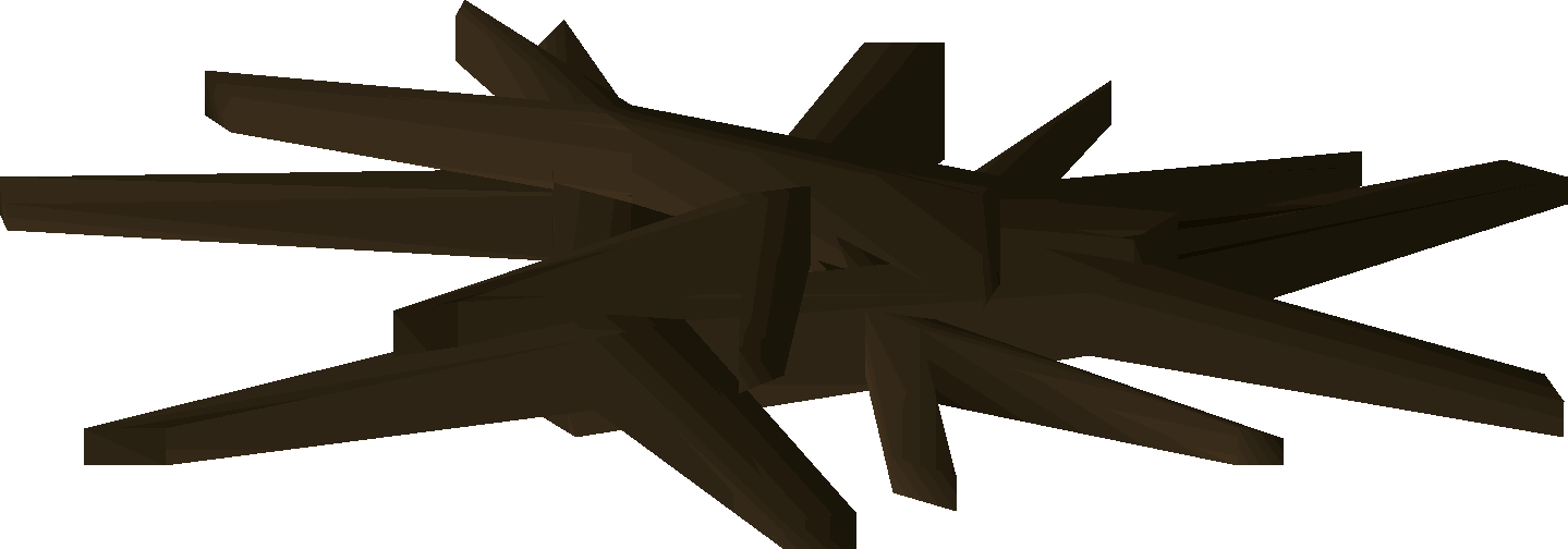 Wet driftwood