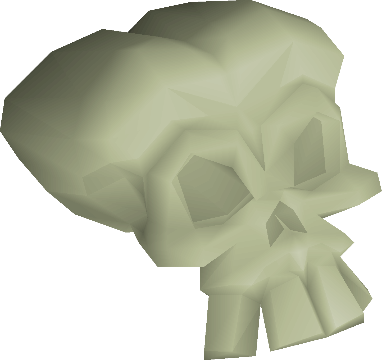 Medium fossilised skull