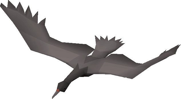 Cormorant