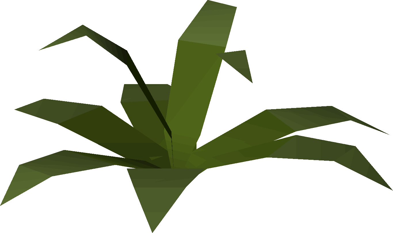 Yommi tree