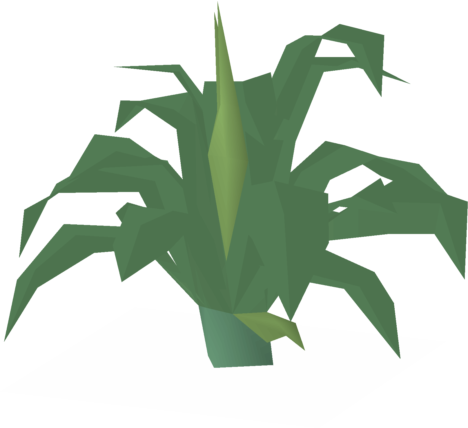 Digweed (plant)
