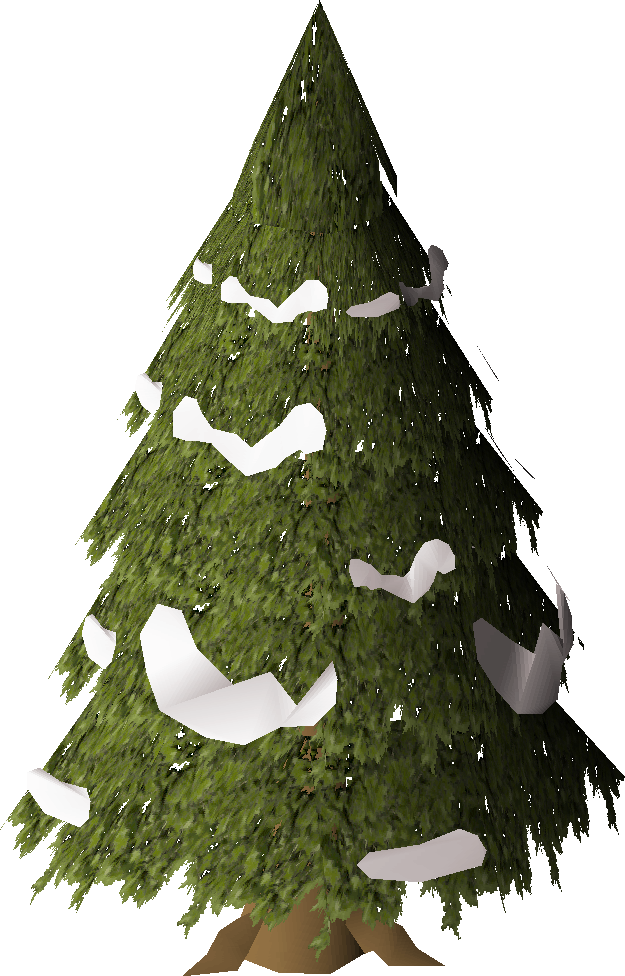 Evergreen tree