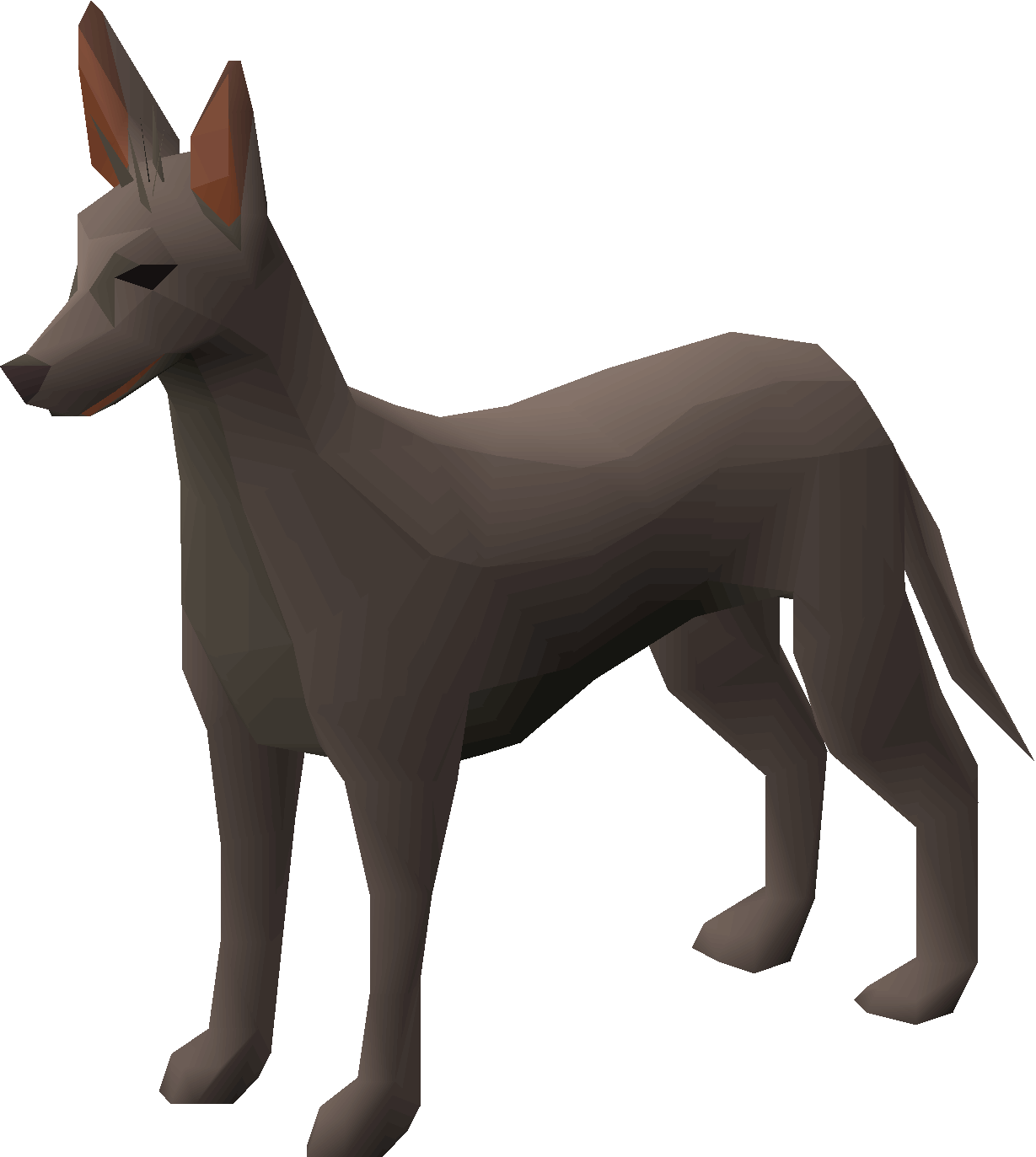 Xolo