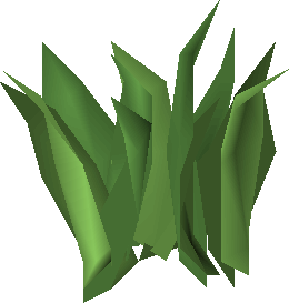 Irit leaf (plant)