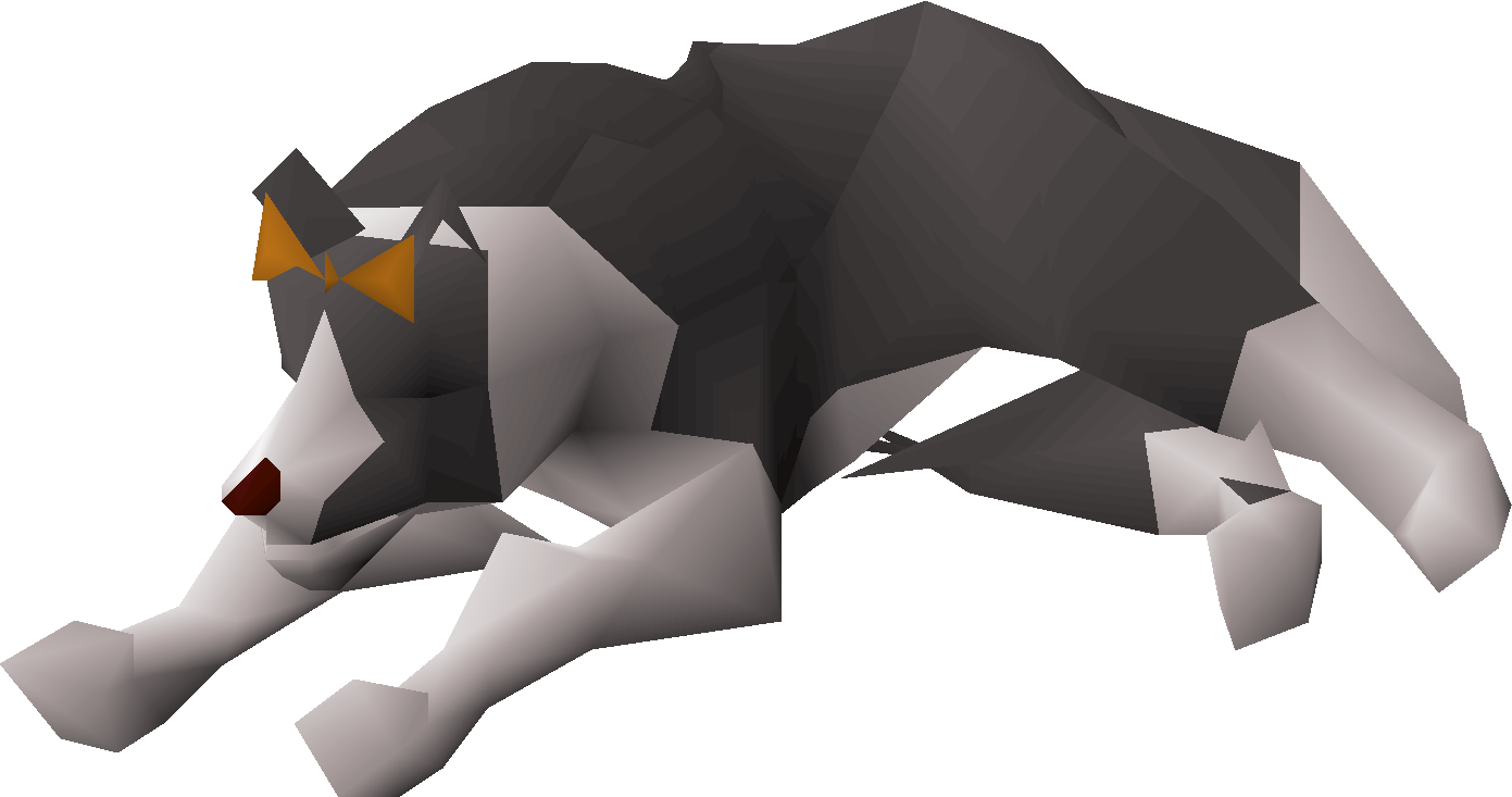 Sheepdog