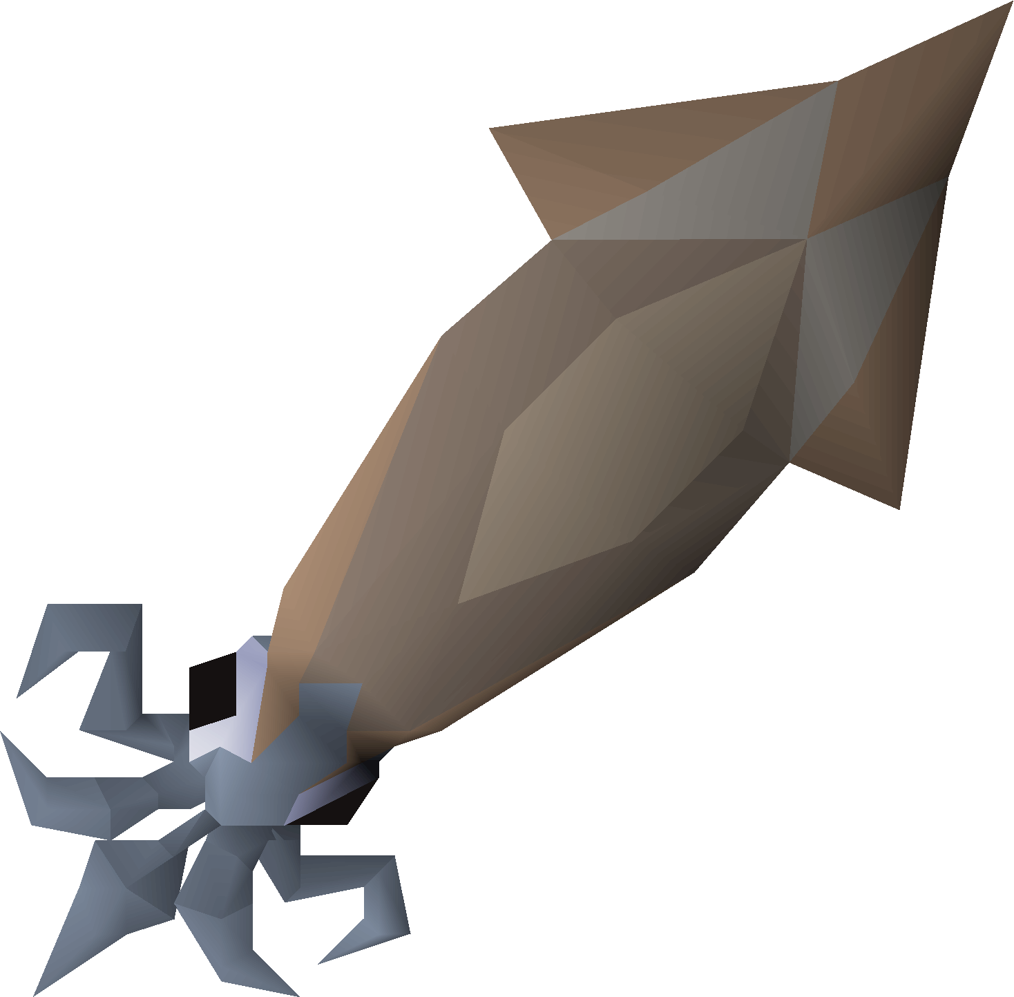 Raw swordtip squid