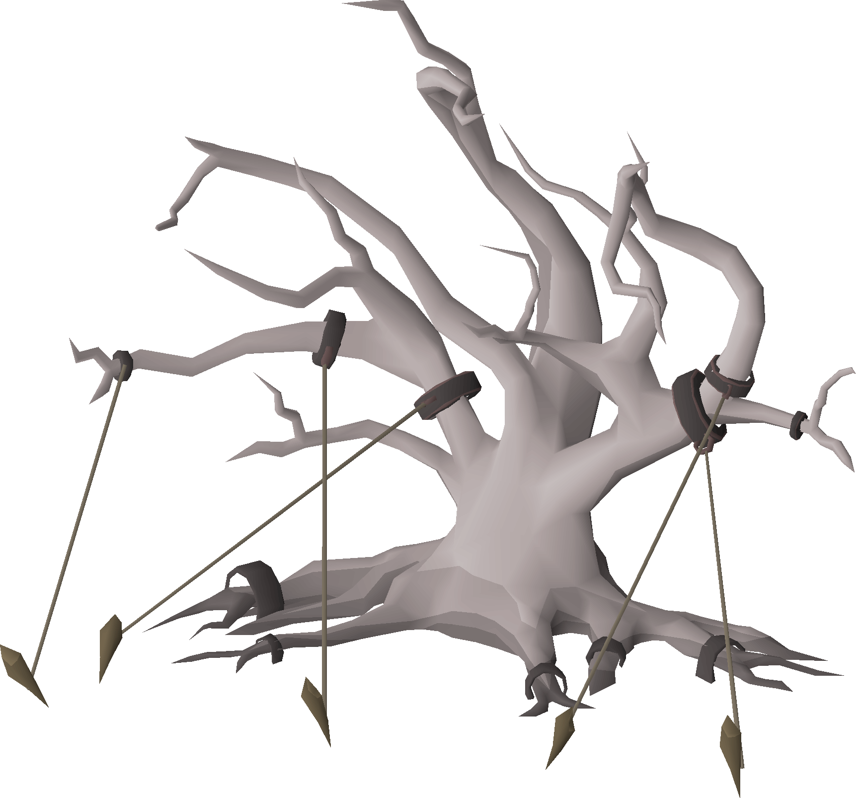 Blisterwood tree