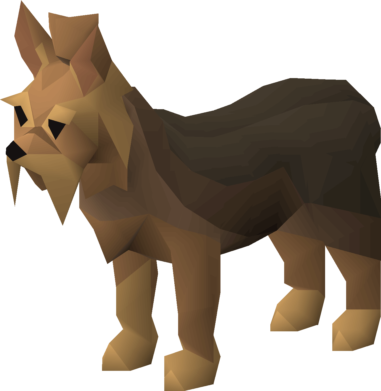 Archibald (dog)
