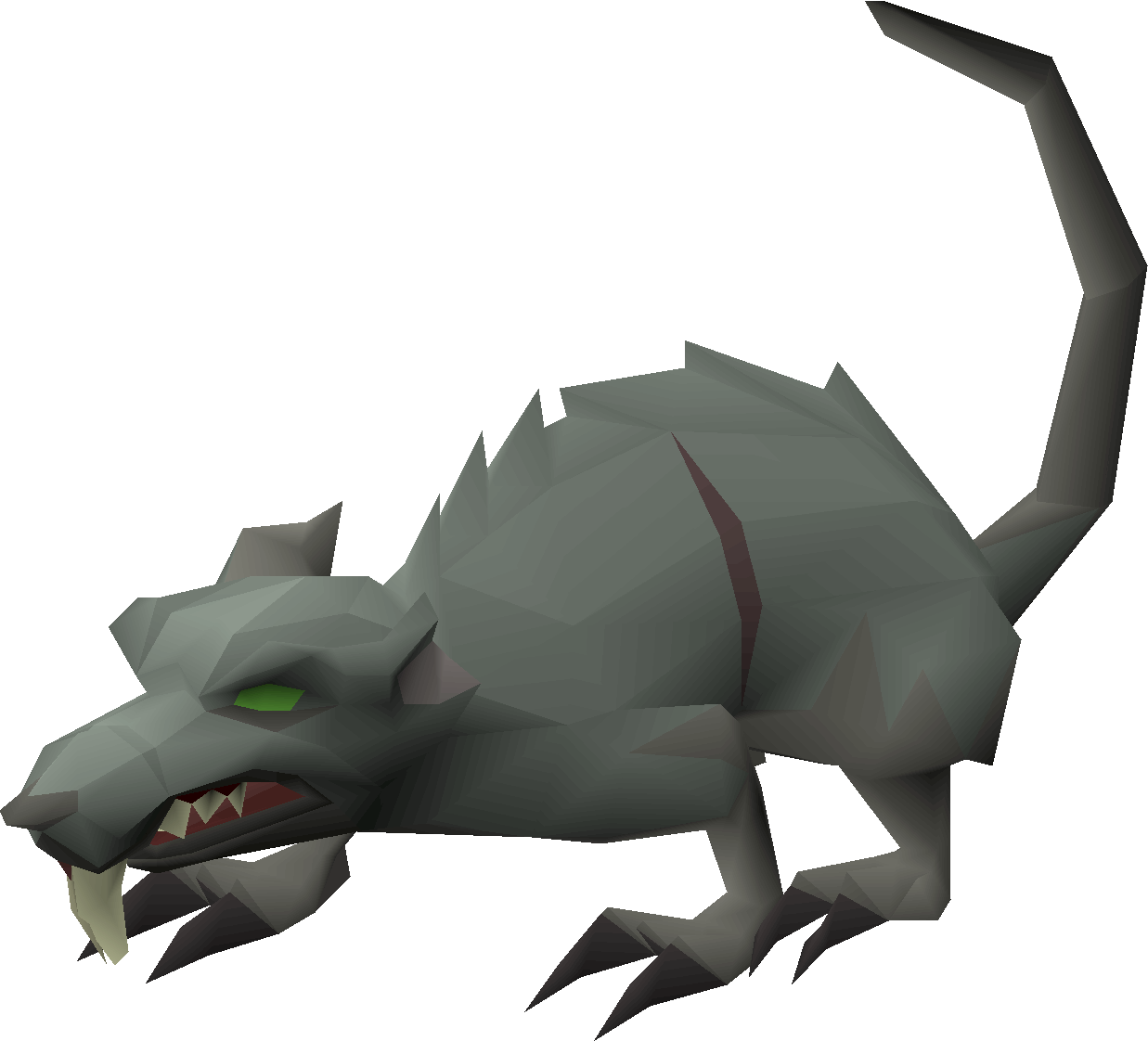 Giant rat (Scurrius)