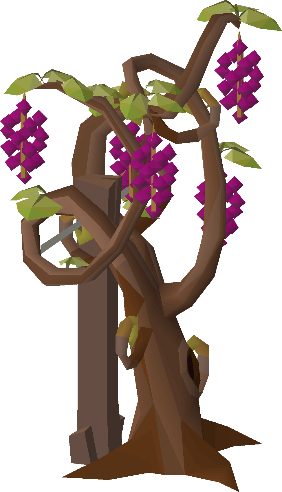 Grapevine (scenery)