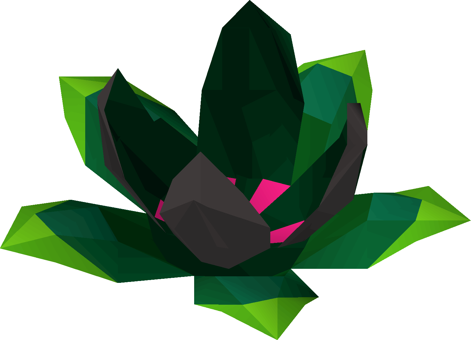 Medivaemia blossom