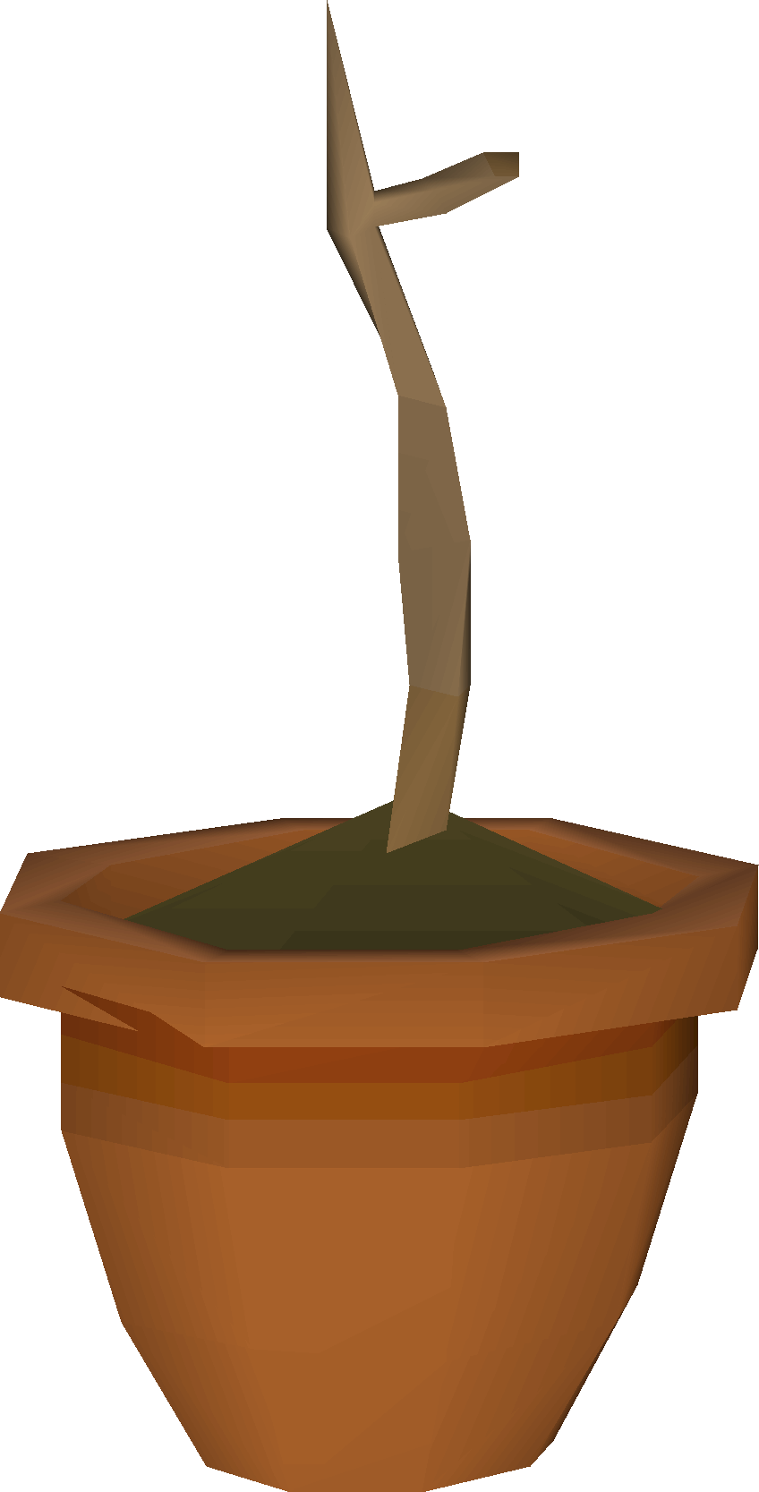 Money making guide/Planting Celastrus sapling