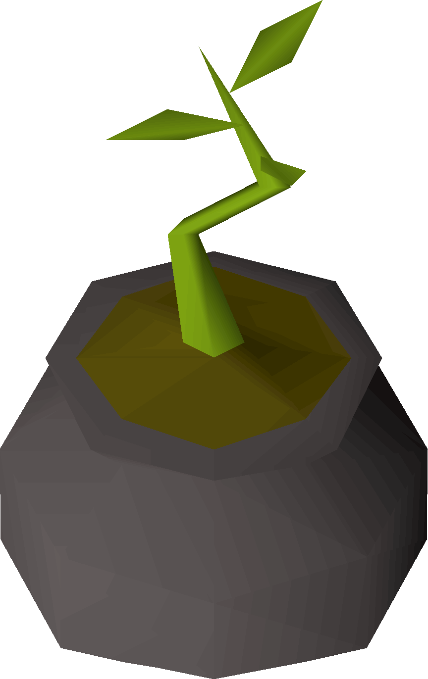 Bagged plant 2