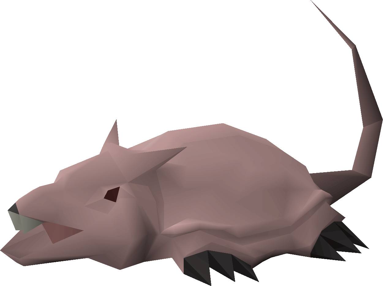 Money making guide/Killing brine rats