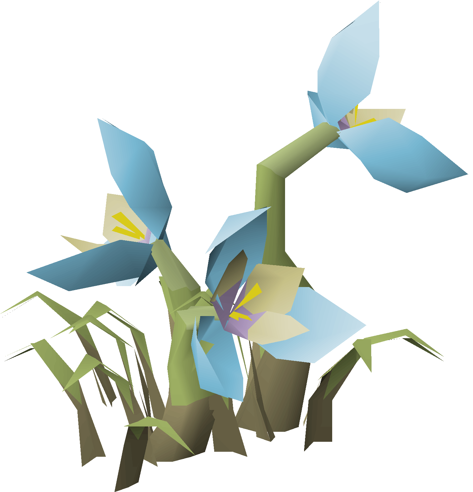 Flowering bush