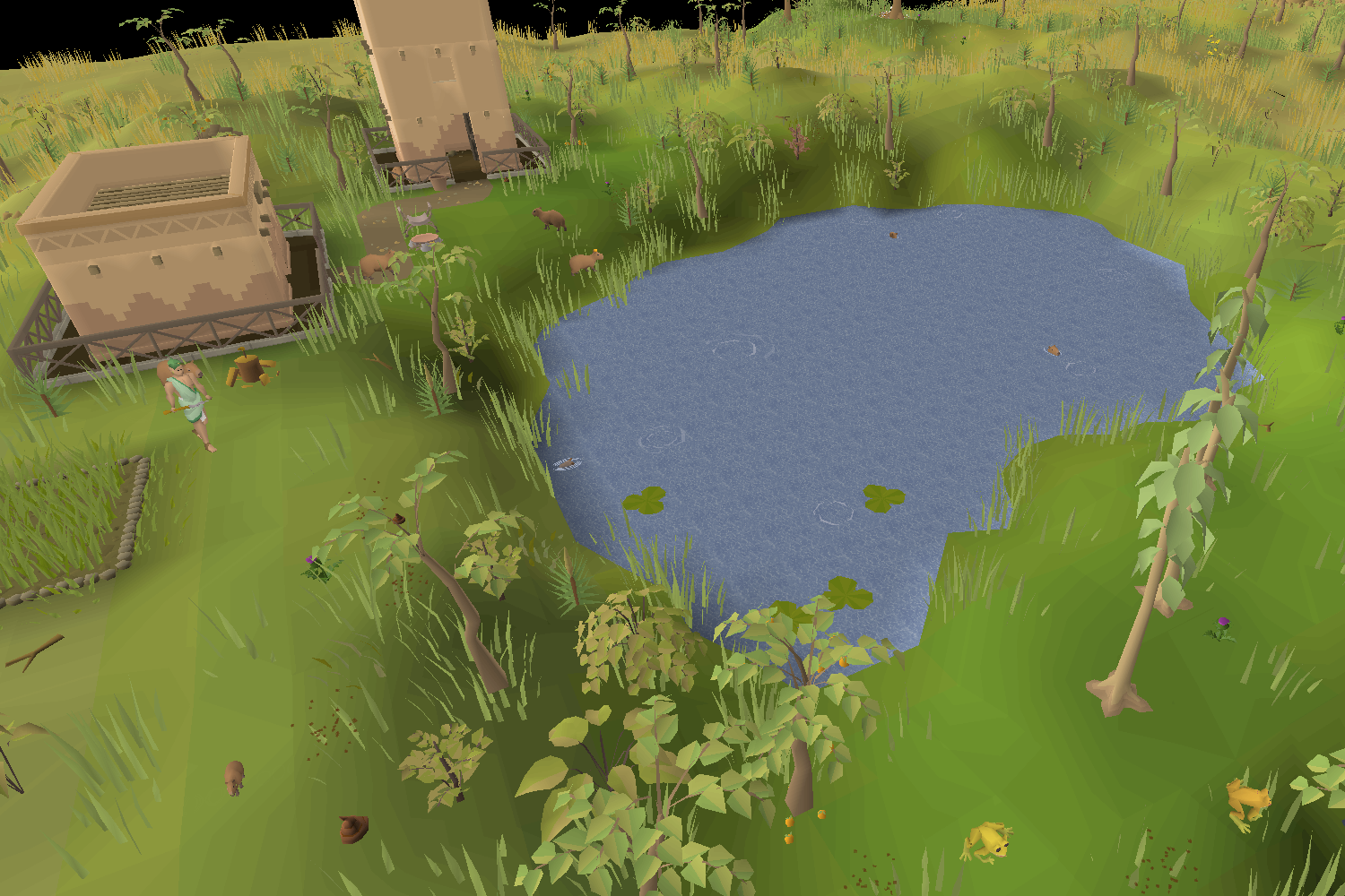 Locus Oasis