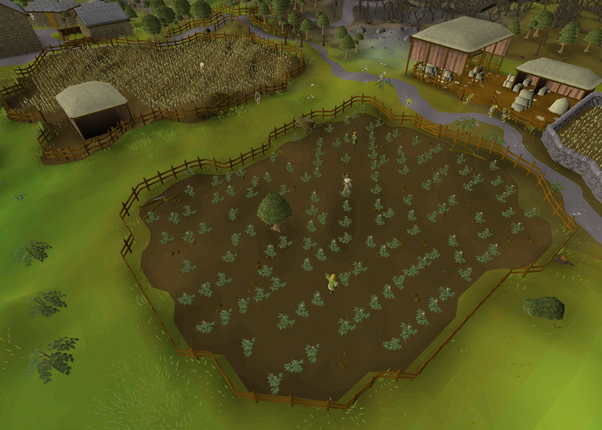 Draynor farm