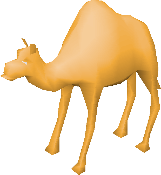Camel