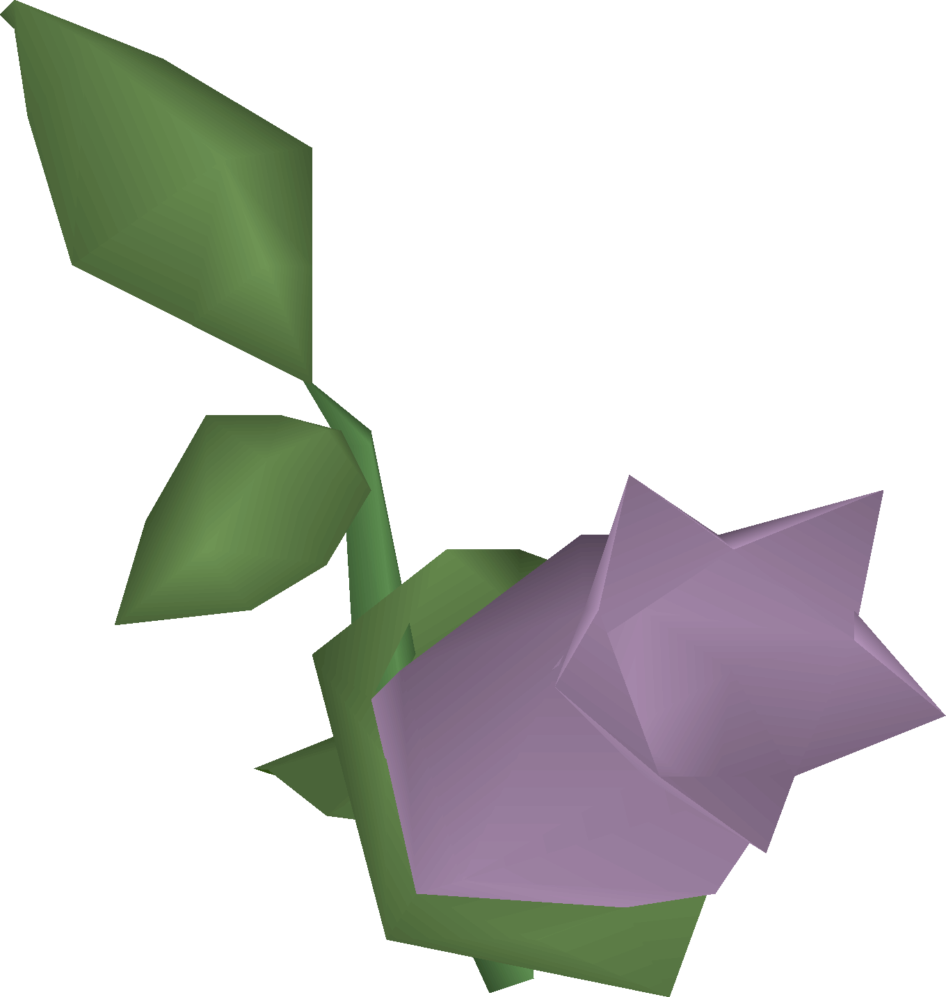Cave nightshade