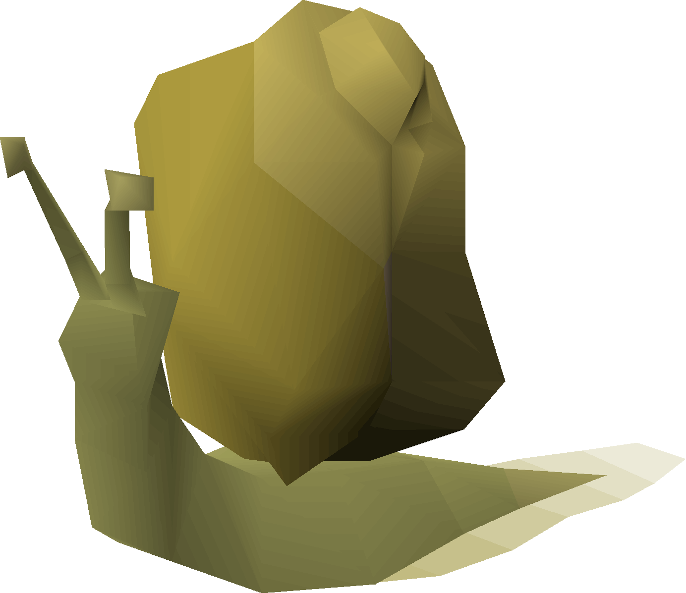 Ochre Blamish Snail
