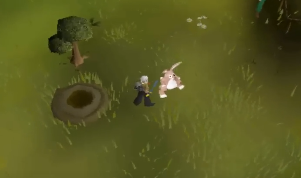 2013 Easter event