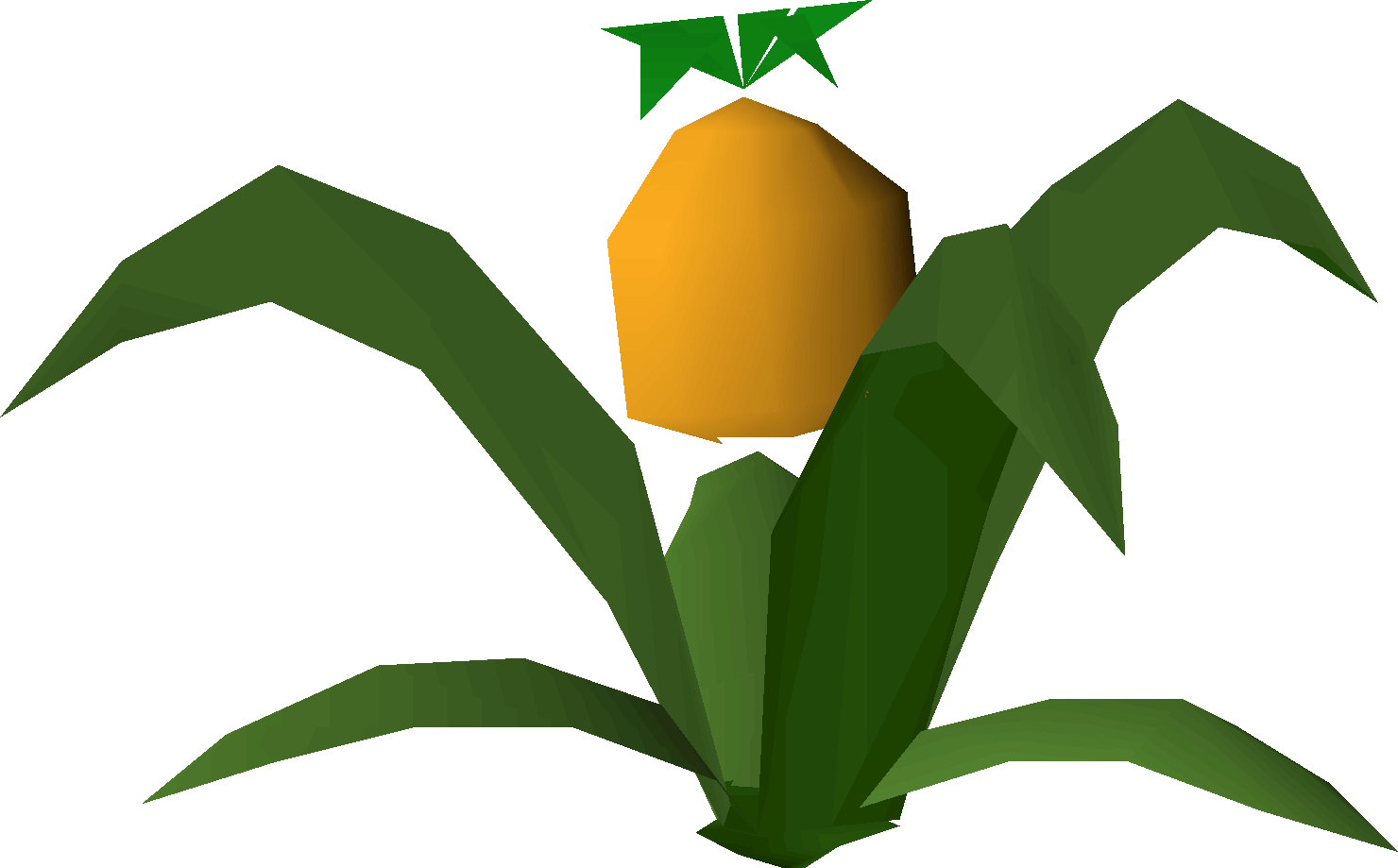 Pineapple Plant (wild)